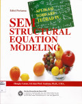 SEM STRUCTURAL EQUATION MODELING