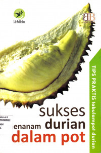 SUKSES MENANAM DURIAN DALAM POT: TIPS PRAKTIS TABULAMPOT DURIAN