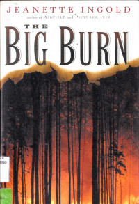 THE BIG BURN