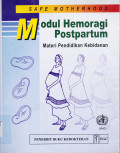 SAFE MOTHERHOOD; MODUL HEMORAGI POST PARTUM