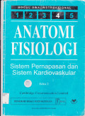 ANATOMI FISIOLOGI 4