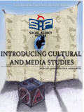 INTRODUCING CULTURAL AND MEDIA STUDIES